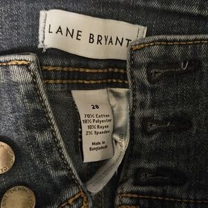 Lane Bryant Jegging Jeans